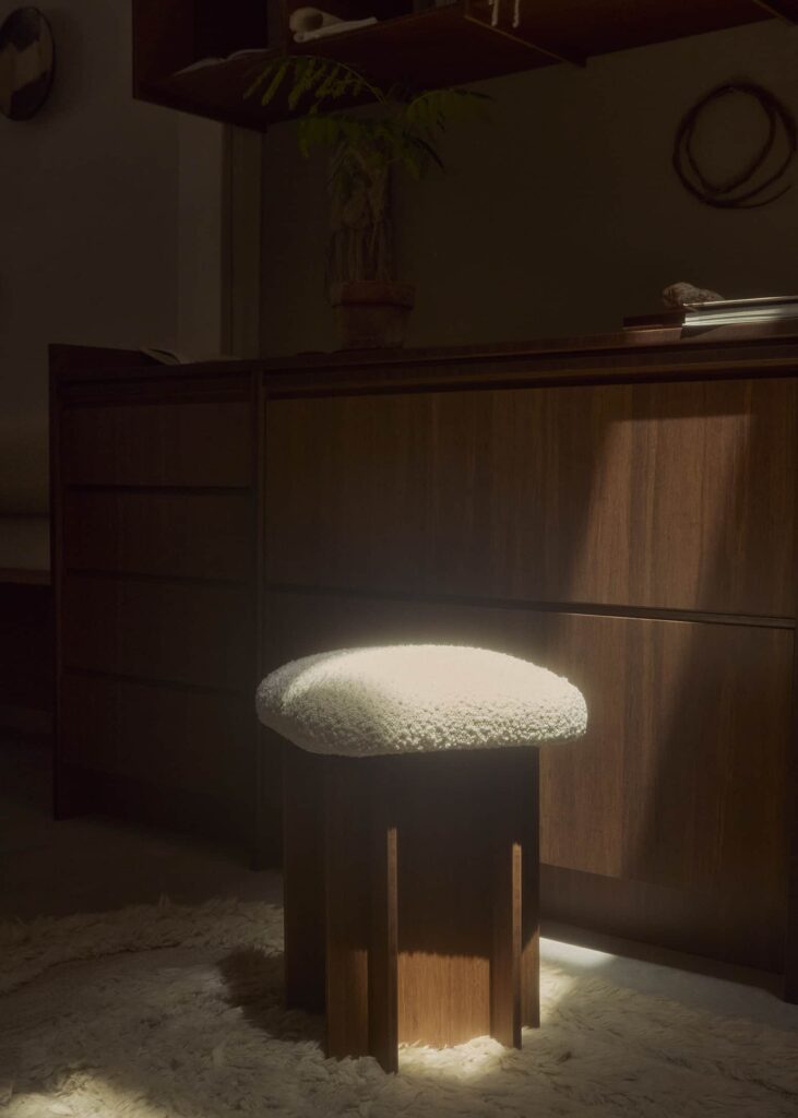 ae25 studio lounge chair